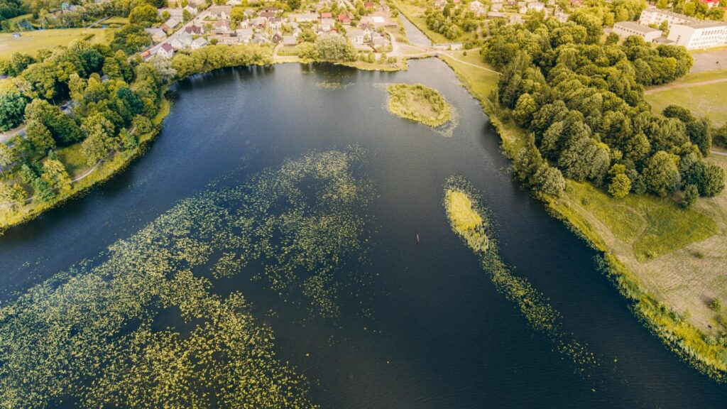Vaizdas nuo orla su ežeru ir aplinkuotu mišku.Alt tekstas:"Šatrijos ežeras-kaip užsidirbti pinigų su Funimate vaizdo redaktoriumi ir kūrėju."