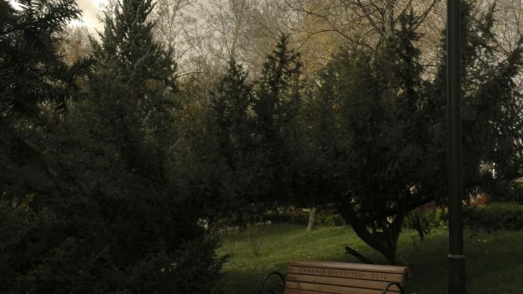 Kaip Lietuvos YouTube influenceriai bendradarbiauja su Latvijos prekės ženklais