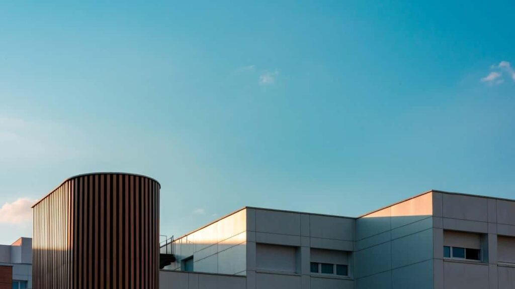 Kaip Instagram influenceriai Lietuvoje gali bendradarbiauti su Japonijos prekės ženklais