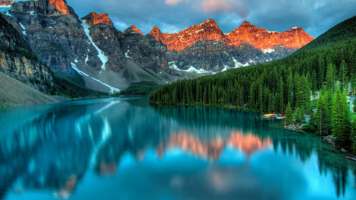 Marketers: Find Lebanon Roposo Reactors Fast