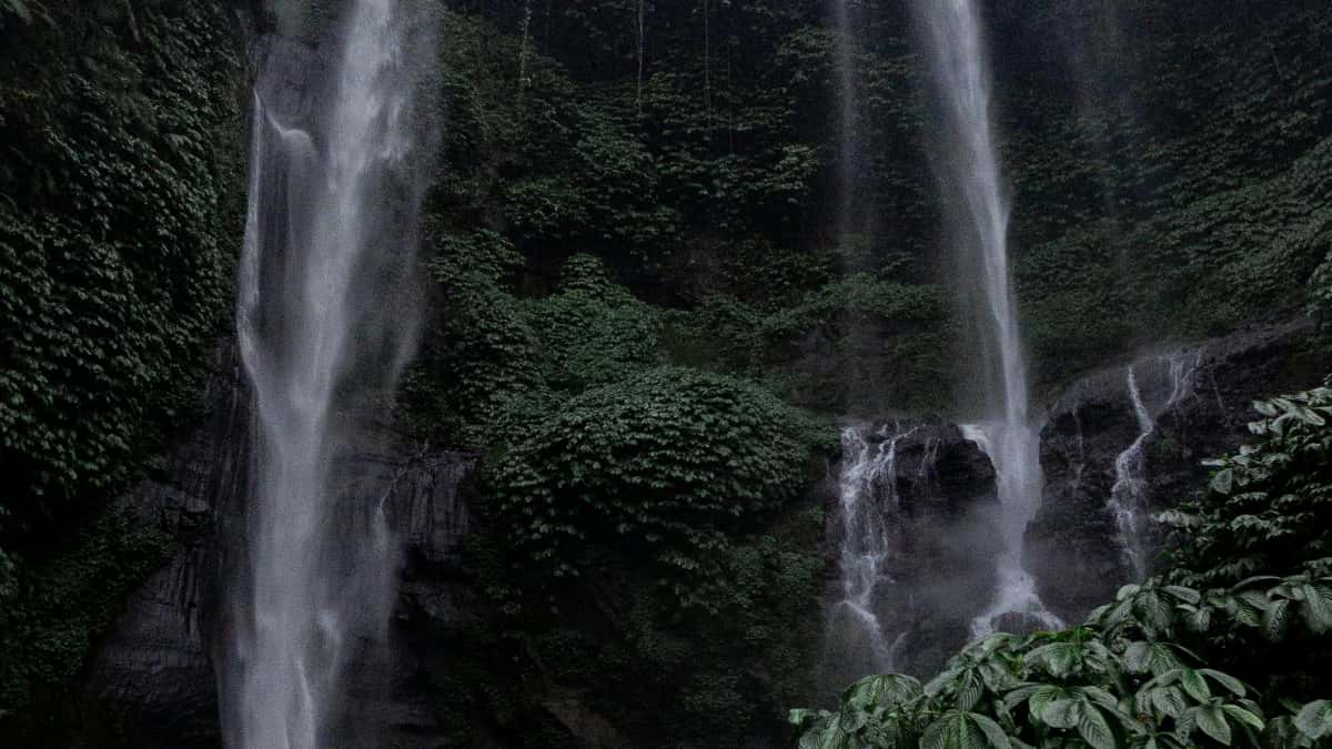 Reklamų vadovas: rasti Venesuelos Taobao kūrėjus greitai