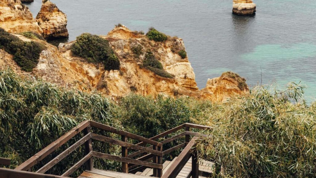 Praktinis vadovas Lietuvos kurejams kaip vkontakte susisiekti su Belgijos prekiniais zenklais ir kartu paleisti riboto leidimo produktu rinkinius.