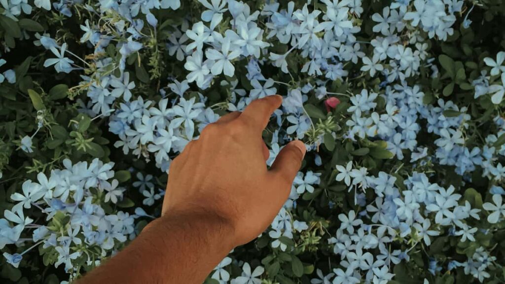 Praktinis gidu rinkinys lietuviams: kaip surasti Norvegijos Discord kurejus, atrasti nisines auditorijas ir paleisti sekmingas kampanijas.