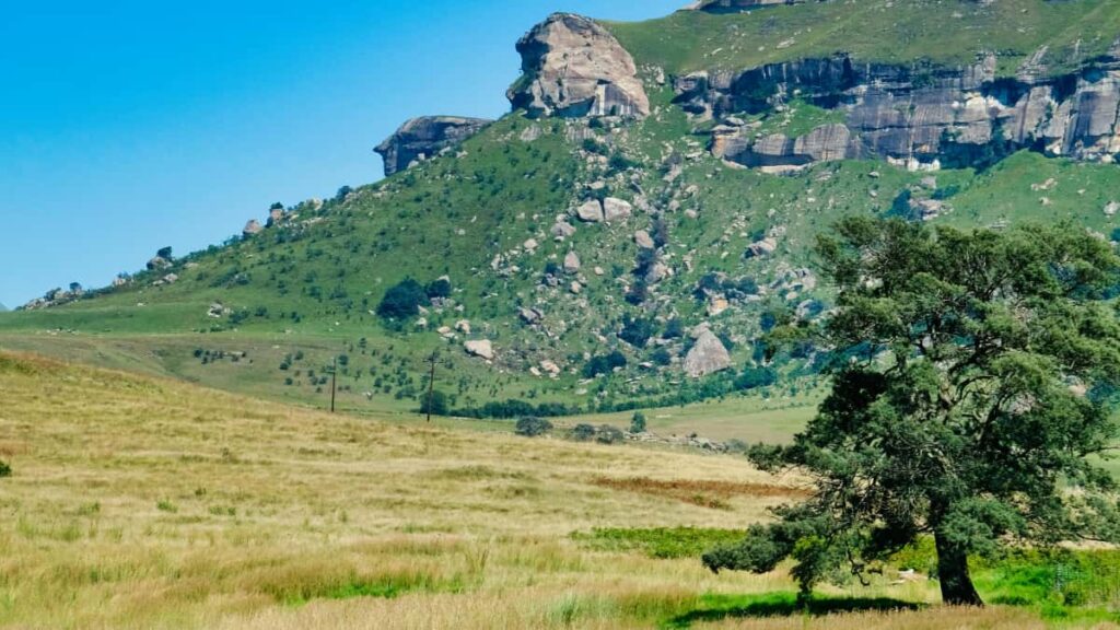 Straipsnis praktikai: zingsniai, irankiai ir taktika Lietuvos kurejams, kaip kontaktuoti Austrijos prekes zenklus per Taobao ir dalintis patarimais naudojant sponsorinius irankius.