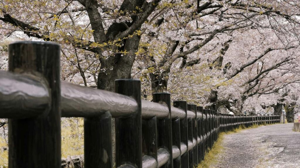 Praktinis vadovas lietuviams kurejams: kaip atrasti Gruzijos prekes zenklus, uzmegzti kontakta per Twitter ir kurti stilingus outfitus su ju produktais.