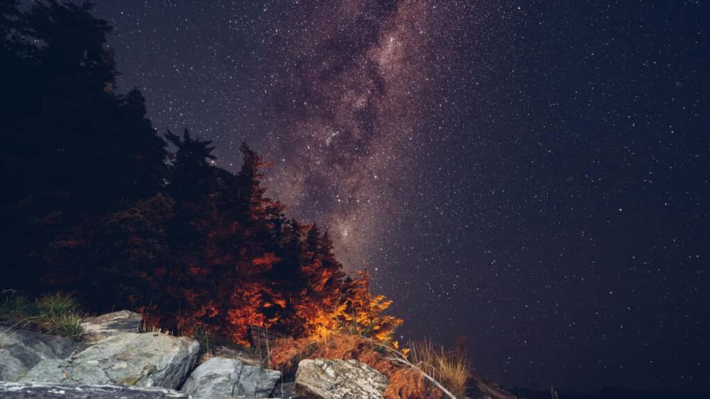 Praktinis vadovas Lietuvos kurejams: zingsniai, taktika ir kontaktu modeliai, kaip uzmegzti rysi su Sri Lankos prekiu zenklais per Pinterest ir siulyti brandintas tutorialus.