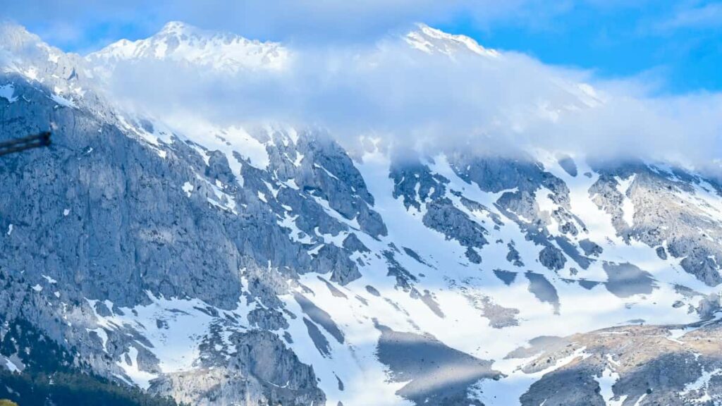 Praktinis gidas lietuviams: kaip rasti ir susisiekti su Mongolijos mados zenklais Josh platformoje, susitarti del lookbooku ir isvengti teisiniu bei logistikos spastu.