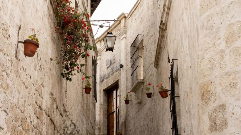 Trumpas, praktinis gidas kurejams is Lietuvos: kaip susisiekti su Saudo Arabijos prekiu zenklais per Line, paruosti stilingus outfit'us ir uzmegzti lokalu bendradarbiavima.