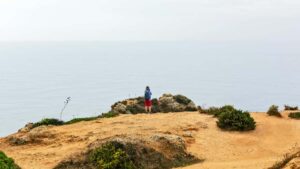 Praktinis gidas lietuviams kurejams: kaip identifikuoti italu prekes zenklus Spotify, kaip prieiti profesionaliai ir didinti sansus gauti nemokamus produktu pavyzdzius.