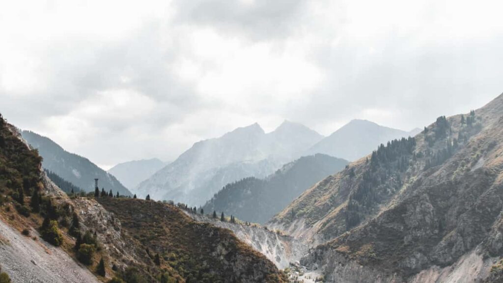 Konkreti strategija Lietuvos prekems: kur rasti Argentinos Viber kurejus, kaip juos atrinkti, sekmingai seeduoti produktus ir isvengti klaidu lokalizuotoje rinkoje.