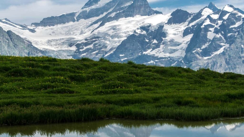 Praktinis gidas, kaip rasti Brazilijos Apple Music kurejus ir panaudoti juos zaidimu bendruomenese, su taktika, kanalais ir kampaniju idejomis reklamos specialistams Lietuvoje.