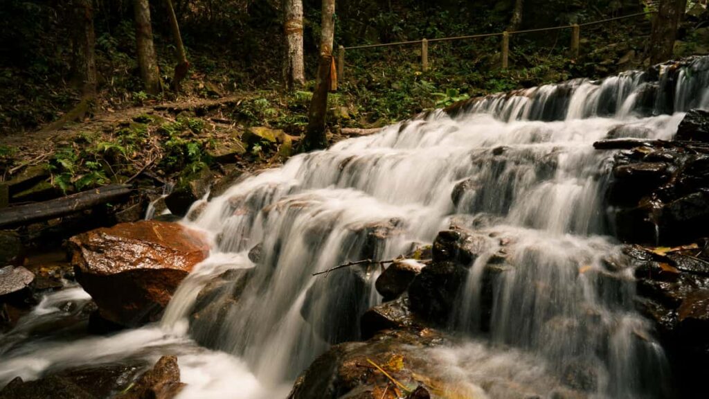Praktinis gidas Lietuvos kurejams kaip uzmegzti rysius su Sveicarijos prekemis per ShareChat, kurti muzikinius issukius ir paversti juos kampanijomis.