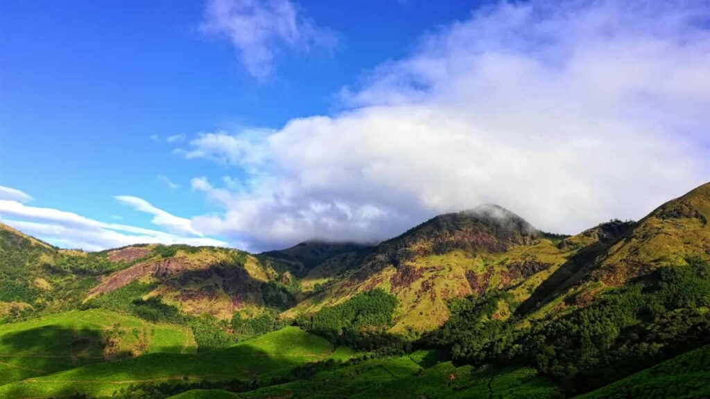 Praktinis gidas Lietuvos prekes zenklo vadovams: kur rasti Algirijos Lazada kurejus, kaip vertinti auditorija ir paleisti kampanija, naudojant Lazada AI ir logistikos privalumus.