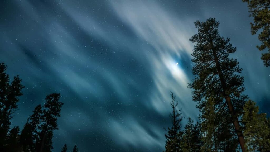 Praktinis vadovas reklamuotojams Lietuvoje: kaip identifikuoti, verifikuoti ir vystyti reakciju kampanijas su Vietnam Moj kurejais taktika, rizikos ir realus pavyzdziai.