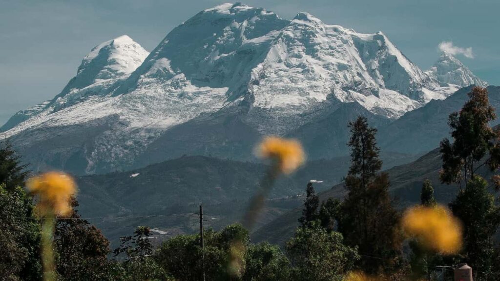Praktinis vadovas lietuviskiems prekes zenklams kaip atrasti Nyderlandu Kuaishou kurejus, projektuoti engagement-orientuotas kampanijas ir naudoti naujausias AI priemones kurybai.