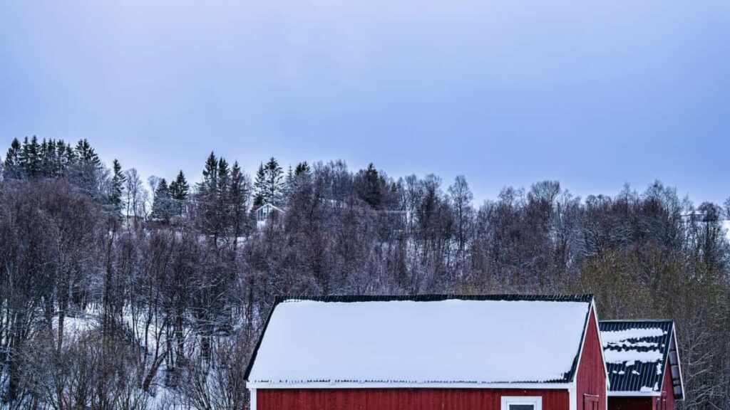 Praktinis gidas Lietuvos reklamdaviams: zingsniai, kur rasti Cekijos Viber kurejus, kaip identifikuoti tinkamus talentus ir sukurti sekminga sokiu issuki su vietiniais creatoriais.