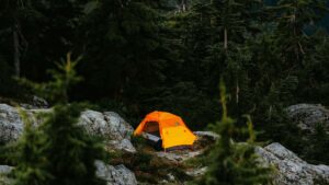 Praktinis vadovas Lietuvos rinkodaros specialistams kaip atrasti Liuksemburgo OnlyFans kurejas, ivertinti rizikas ir sekmingai pristatyti naujas maisto papildu linijas.