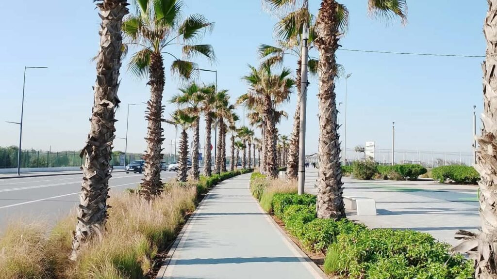 Straipsnis paaiskina taktikas, kontaktu kanalus ir lokalius niuansus, kaip lietuviu kurejui ar agenturai susisiekti su Gruzijos prekes zenklais, kad jie prisijungtu prie HBO Max sveikatingumo kampaniju.