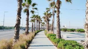 Straipsnis paaiskina taktikas, kontaktu kanalus ir lokalius niuansus, kaip lietuviu kurejui ar agenturai susisiekti su Gruzijos prekes zenklais, kad jie prisijungtu prie HBO Max sveikatingumo kampaniju.