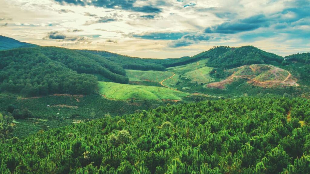 Praktinis gidaskurejams Lietuvoje: kaip per SoundCloud uzmegzti rysi su Islandijos mados zenklais ir kurti lookbookus taktika, kanalai ir teisiniai niuansai.