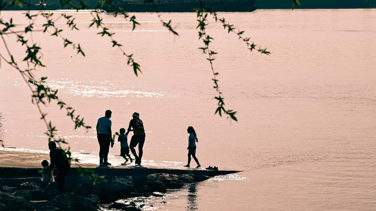 Kūrėjams: pasiekti Turkijos prekės Rumble ir konvertuoti