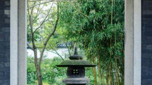 Konkreti lietuviska strategija, kaip atrasti Pietu Afrikos SoundCloud kurejus ir panaudoti juos produktu augimui per creator content zingsnis po zingsnio.